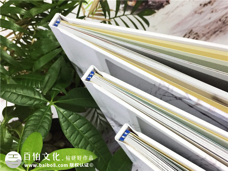 高中畢業(yè)冊制作：高考之際 制作2020年的同學畢業(yè)紀念冊！第2張-宣傳畫冊,紀念冊設計制作-價格費用,文案模板,印刷裝訂,尺寸大小