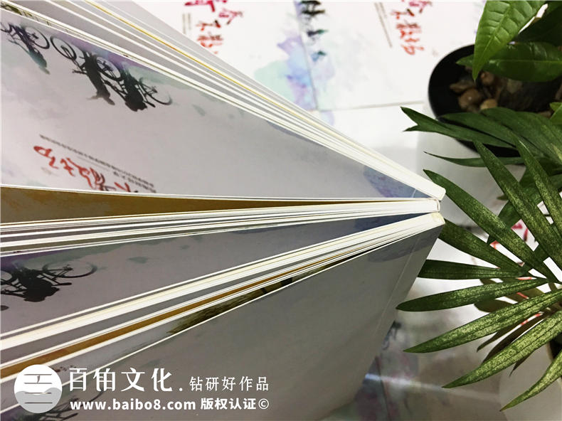 西南財(cái)經(jīng)大學(xué)2016屆金融學(xué)院-大學(xué)畢業(yè)紀(jì)念冊