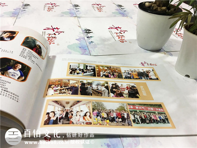 西南財(cái)經(jīng)大學(xué)2016屆金融學(xué)院-大學(xué)畢業(yè)紀(jì)念冊