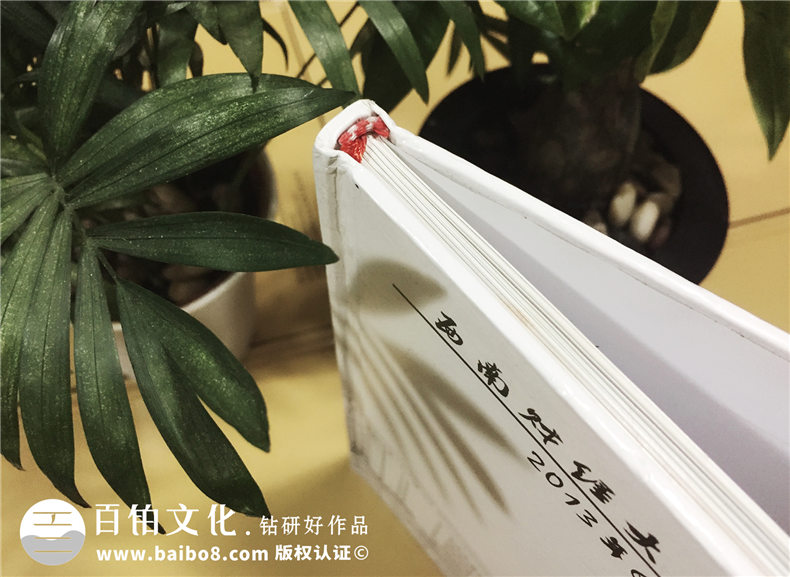 西南財大2009級公管學院-大學畢業(yè)紀念冊-同學錄