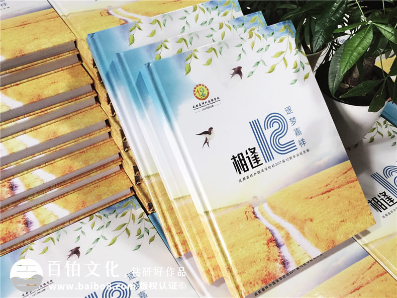 *看圖*高逼格畢業(yè)紀念冊設計,第三張直接閃瞎眼