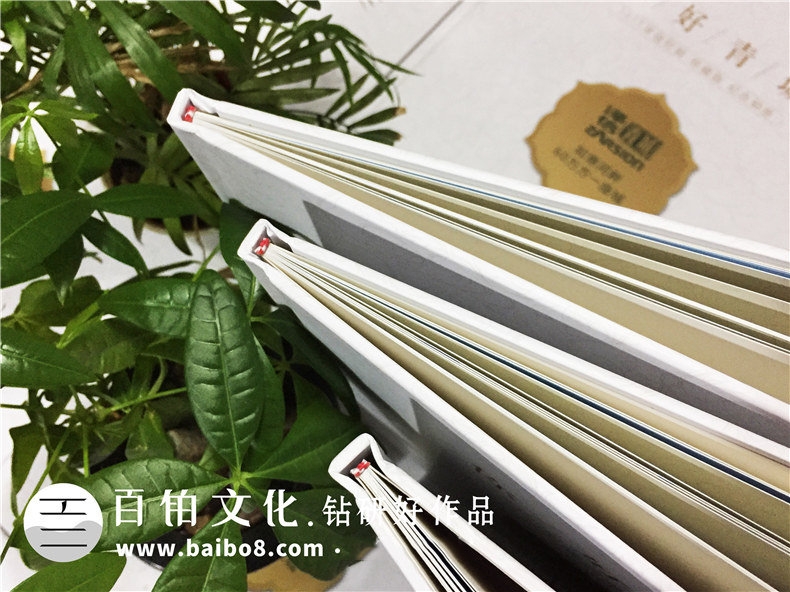 澤信控股企業(yè)紀念冊郵冊定制-公司宣傳畫冊設(shè)計