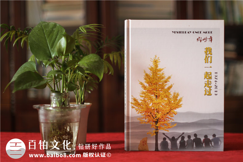 專業(yè)的紀(jì)念冊(cè)平面設(shè)計(jì)服務(wù)（一系列的設(shè)計(jì)工作流程）第1張-宣傳畫冊(cè),紀(jì)念冊(cè)設(shè)計(jì)制作-價(jià)格費(fèi)用,文案模板,印刷裝訂,尺寸大小
