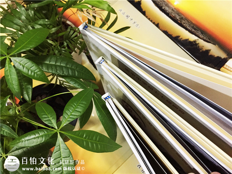 閬中中學(xué)-畢業(yè)四十周年聚會(huì)紀(jì)念冊-同學(xué)會(huì)相冊