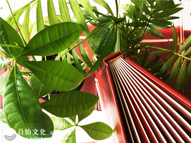 二十年戰(zhàn)友聚會(huì)紀(jì)念冊(cè)應(yīng)該如何設(shè)計(jì)第2張-宣傳畫冊(cè),紀(jì)念冊(cè)設(shè)計(jì)制作-價(jià)格費(fèi)用,文案模板,印刷裝訂,尺寸大小