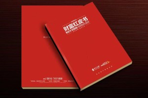 真正高端的房地產(chǎn)企業(yè)宣傳畫冊設(shè)計 擺脫創(chuàng)意文案 廣告照樣牛逼！