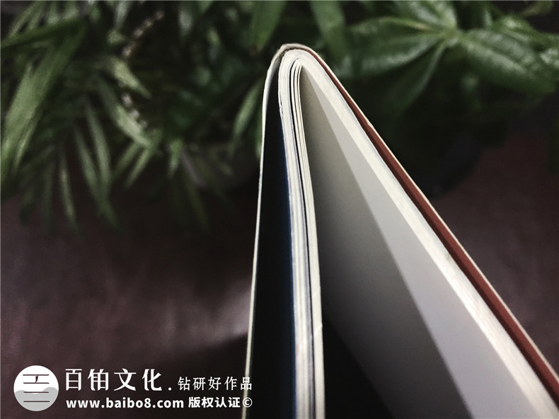 成都登特義齒-企業(yè)期刊畫冊設計-雜志制作