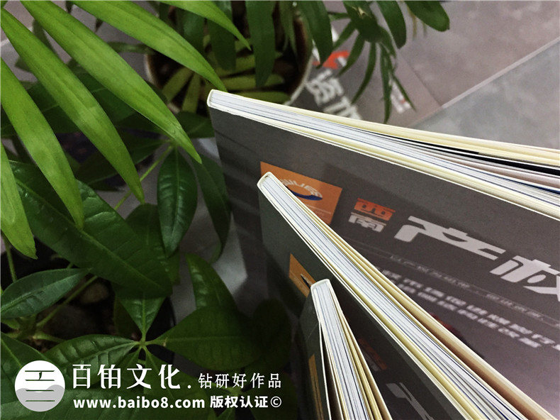 畫(huà)冊(cè)設(shè)計(jì)的理念分析 一個(gè)企業(yè)需要的專(zhuān)業(yè)畫(huà)冊(cè)設(shè)計(jì)方法！第2張-宣傳畫(huà)冊(cè),紀(jì)念冊(cè)設(shè)計(jì)制作-價(jià)格費(fèi)用,文案模板,印刷裝訂,尺寸大小