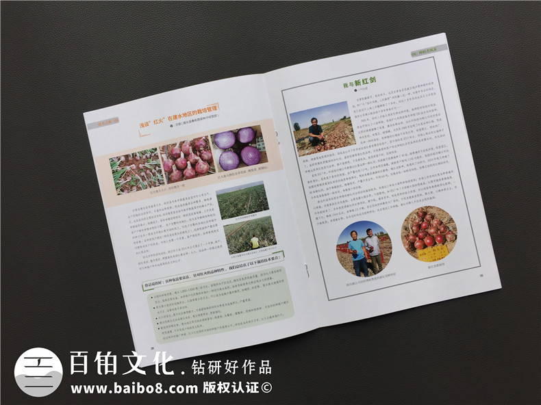 企業(yè)內(nèi)刊制作就該這么做 走進(jìn)企業(yè)內(nèi)刊的世界第3張-宣傳畫冊(cè),紀(jì)念冊(cè)設(shè)計(jì)制作-價(jià)格費(fèi)用,文案模板,印刷裝訂,尺寸大小