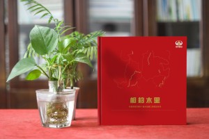 川交路橋木里項(xiàng)目?？O(shè)計(jì)制作-企業(yè)活動(dòng)紀(jì)念冊(cè)