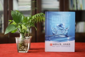 團隊建設(shè)活動紀念冊-企業(yè)培訓相冊-拓展訓練畫冊