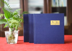 高端企業(yè)周年慶畫(huà)冊(cè)設(shè)計(jì)制作方案賞析-布面燙金紀(jì)念相冊(cè)案例模板