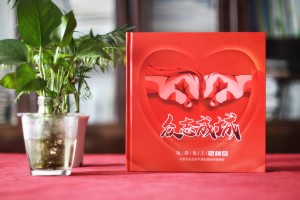 抗疫故事專題回憶錄畫(huà)冊(cè)-設(shè)計(jì)記錄街道辦抗疫復(fù)工歷史的專輯宣傳冊(cè)
