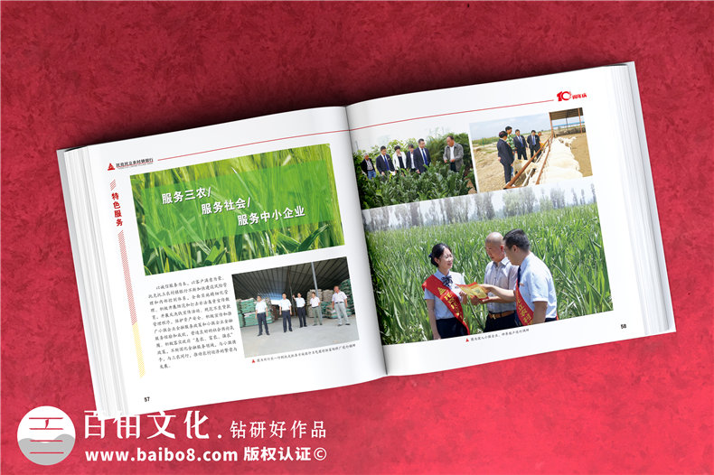 公司周年活動(dòng)紀(jì)念畫冊-銘記團(tuán)隊(duì)部門成長的周年慶畫冊設(shè)計(jì)