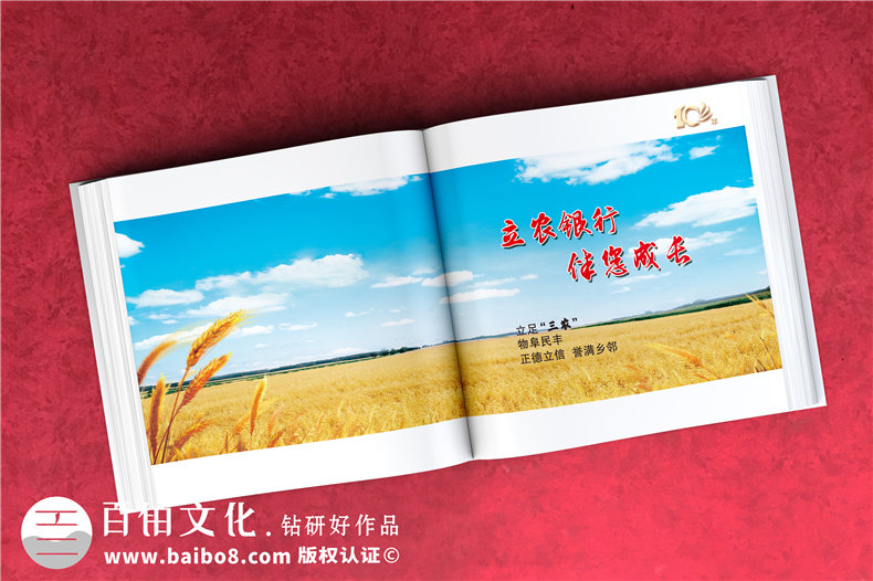 公司周年活動(dòng)紀(jì)念畫冊-銘記團(tuán)隊(duì)部門成長的周年慶畫冊設(shè)計(jì)