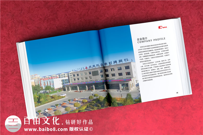 公司周年活動(dòng)紀(jì)念畫冊-銘記團(tuán)隊(duì)部門成長的周年慶畫冊設(shè)計(jì)