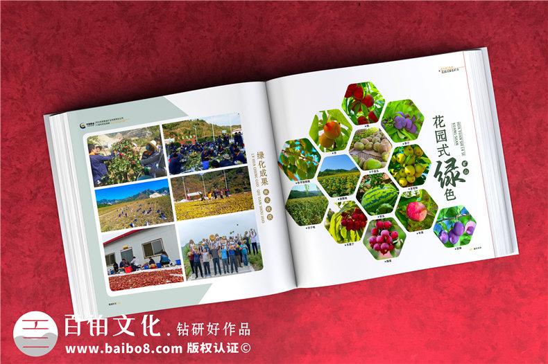 集團(tuán)成立周年宣傳冊-公司創(chuàng)建10周年活動(dòng)制作相冊影集