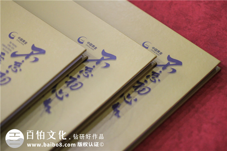集團(tuán)成立周年宣傳冊-公司創(chuàng)建10周年活動(dòng)制作相冊影集