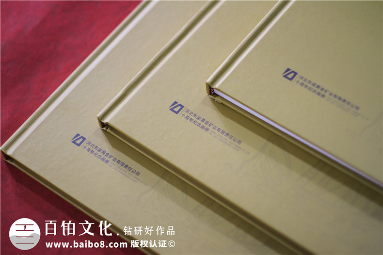 集團(tuán)成立周年宣傳冊-公司創(chuàng)建10周年活動(dòng)制作相冊影集