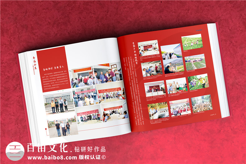 定點(diǎn)幫扶決勝脫貧攻堅紀(jì)實(shí)勝利相冊設(shè)計-扶貧畫冊制作
