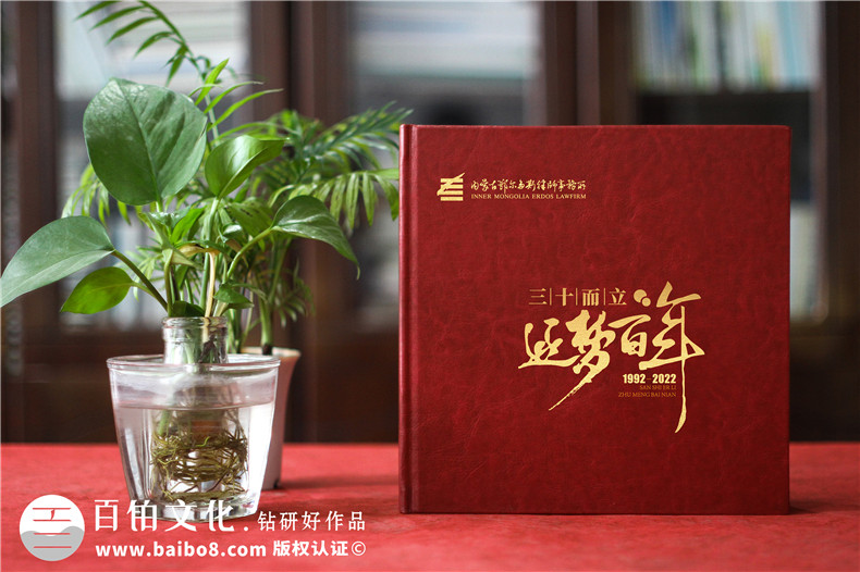 企業(yè)活動(dòng)畫(huà)冊(cè)設(shè)計(jì)-設(shè)計(jì)師團(tuán)隊(duì)主導(dǎo)設(shè)計(jì)有保障