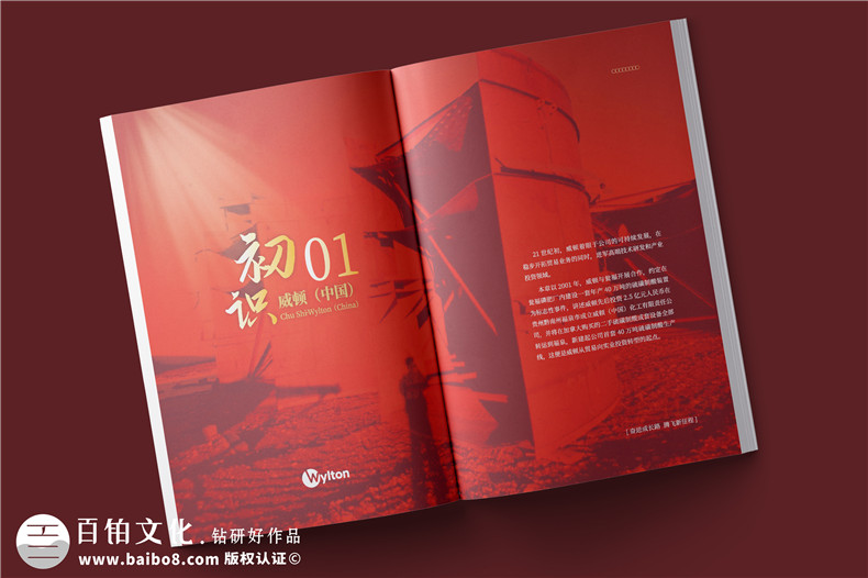 化工企業(yè)20周年紀(jì)念冊設(shè)計(jì)-公司整合發(fā)展大事記畫冊
