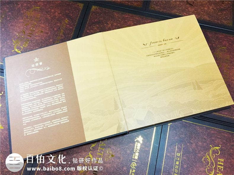 企業(yè)年會(huì)紀(jì)念冊-公司表彰大會(huì)相冊-百萬精英珍藏