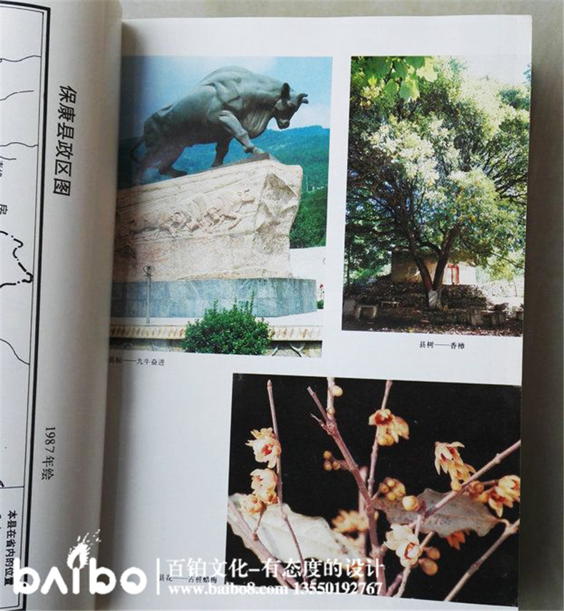 成都縣志地方志鑒裝訂印制-?？悼h志實例鑒賞