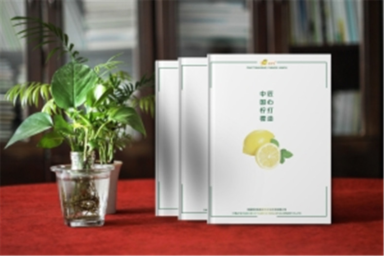 【水果宣傳冊(cè)設(shè)計(jì)】 農(nóng)業(yè)公司農(nóng)產(chǎn)品畫冊(cè)制作 樣本冊(cè)印刷