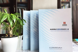企業(yè)產品宣傳冊制作方法-公司畫冊排版審美定位