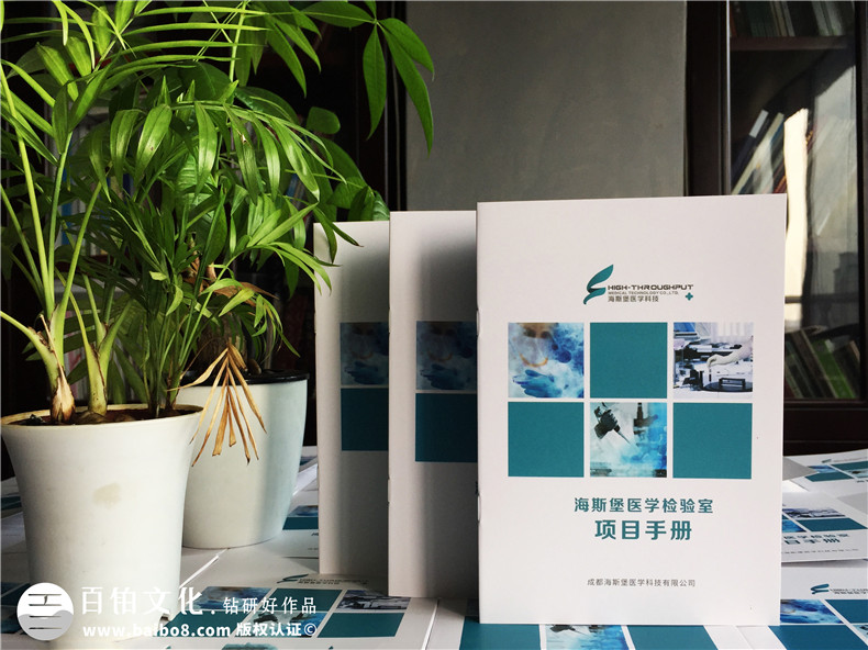 高端精美畫冊設(shè)計(jì) 打造一本高大上的畫冊設(shè)計(jì)的方法第1張-宣傳畫冊,紀(jì)念冊設(shè)計(jì)制作-價(jià)格費(fèi)用,文案模板,印刷裝訂,尺寸大小