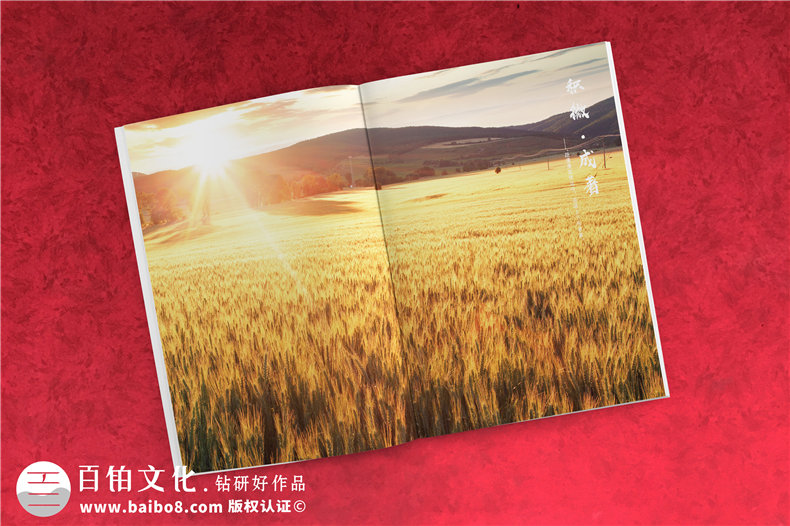 企業(yè)宣傳畫冊(cè)設(shè)計(jì)規(guī)范-優(yōu)秀的企業(yè)畫冊(cè)設(shè)計(jì)要點(diǎn)第7張-宣傳畫冊(cè),紀(jì)念冊(cè)設(shè)計(jì)制作-價(jià)格費(fèi)用,文案模板,印刷裝訂,尺寸大小