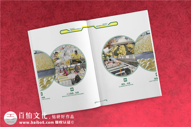 制作一套精美的產(chǎn)品畫冊(cè)的方法