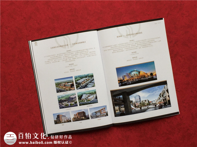 房地產(chǎn)置業(yè)開(kāi)發(fā)公司宣傳冊(cè)設(shè)計(jì)-造價(jià)咨詢物業(yè)管理營(yíng)銷(xiāo)代理企業(yè)畫(huà)冊(cè)