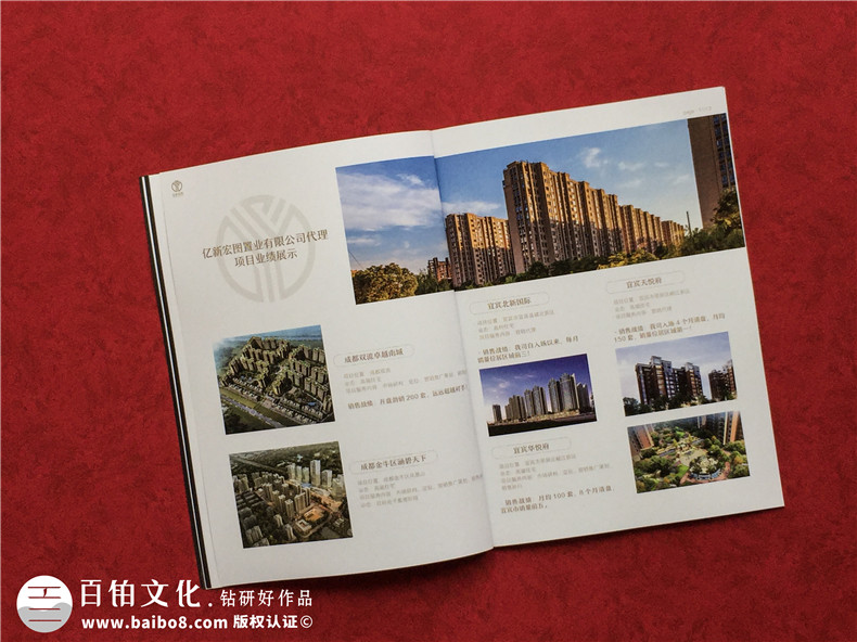 房地產(chǎn)置業(yè)開(kāi)發(fā)公司宣傳冊(cè)設(shè)計(jì)-造價(jià)咨詢物業(yè)管理營(yíng)銷(xiāo)代理企業(yè)畫(huà)冊(cè)