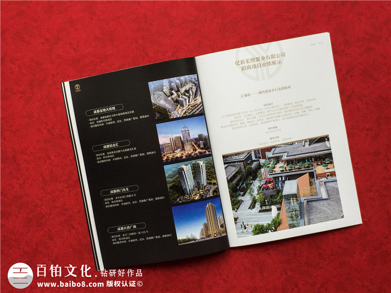 房地產(chǎn)置業(yè)開(kāi)發(fā)公司宣傳冊(cè)設(shè)計(jì)-造價(jià)咨詢物業(yè)管理營(yíng)銷(xiāo)代理企業(yè)畫(huà)冊(cè)