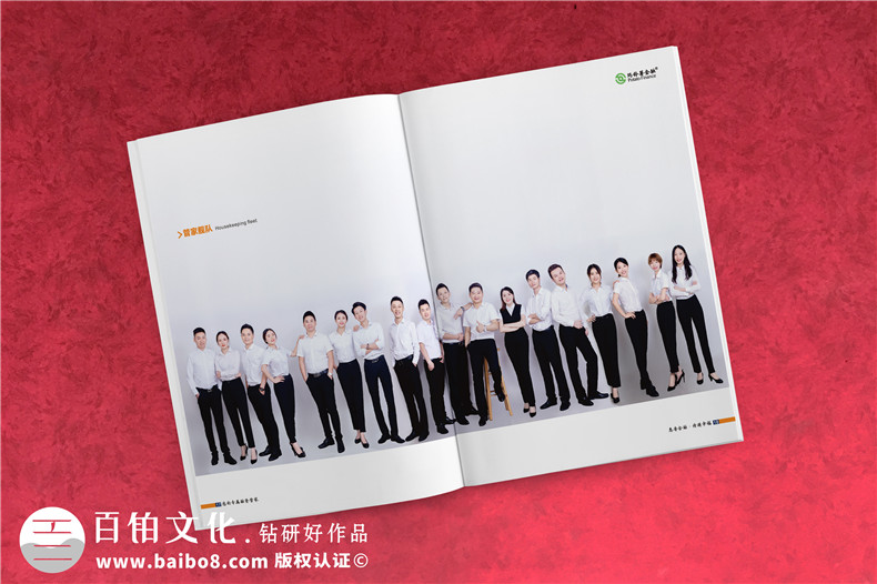 金融公司宣傳畫冊設(shè)計-貸款融資機(jī)構(gòu)宣傳冊制作