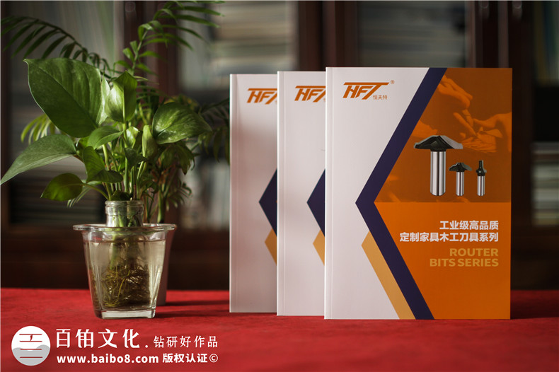 招商宣傳冊策劃-高端定制招商宣傳冊的加盟支持第1張-宣傳畫冊,紀(jì)念冊設(shè)計制作-價格費用,文案模板,印刷裝訂,尺寸大小