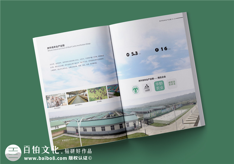 農(nóng)業(yè)宣傳冊(cè)設(shè)計(jì)-綠色農(nóng)業(yè)宣傳冊(cè)怎么設(shè)計(jì)