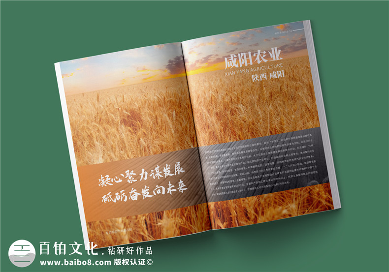企業(yè)宣傳冊設(shè)計-產(chǎn)品宣傳冊設(shè)計堅持的思維
