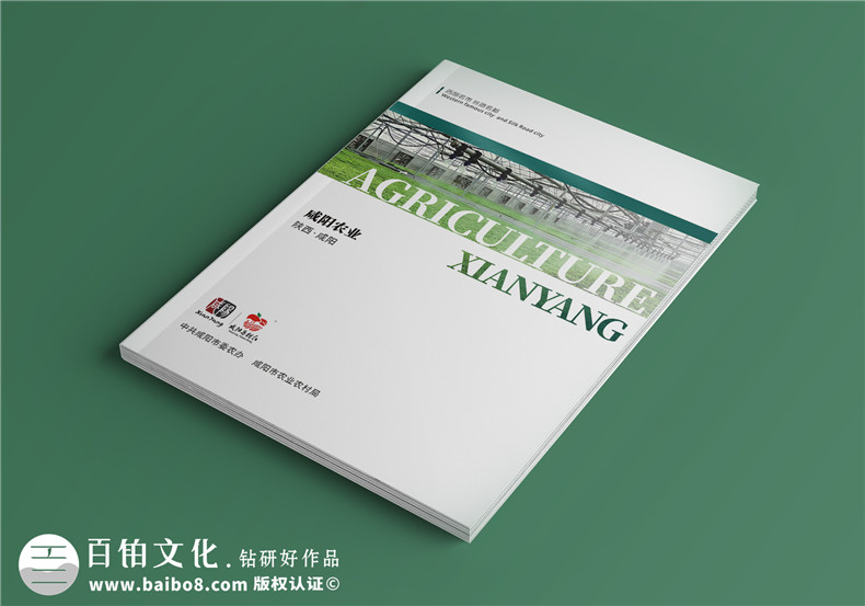 企業(yè)畫(huà)冊(cè)設(shè)計(jì)-成都畫(huà)冊(cè)設(shè)計(jì)展示品牌產(chǎn)品實(shí)力第1張-宣傳畫(huà)冊(cè),紀(jì)念冊(cè)設(shè)計(jì)制作-價(jià)格費(fèi)用,文案模板,印刷裝訂,尺寸大小