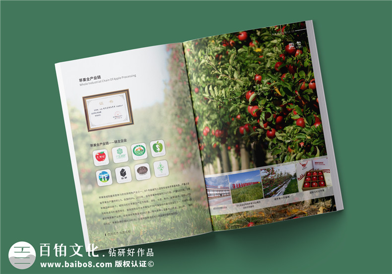 農(nóng)業(yè)食品畫冊(cè)設(shè)計(jì)-綠色健康的畫冊(cè)設(shè)計(jì)方案第2張-宣傳畫冊(cè),紀(jì)念冊(cè)設(shè)計(jì)制作-價(jià)格費(fèi)用,文案模板,印刷裝訂,尺寸大小