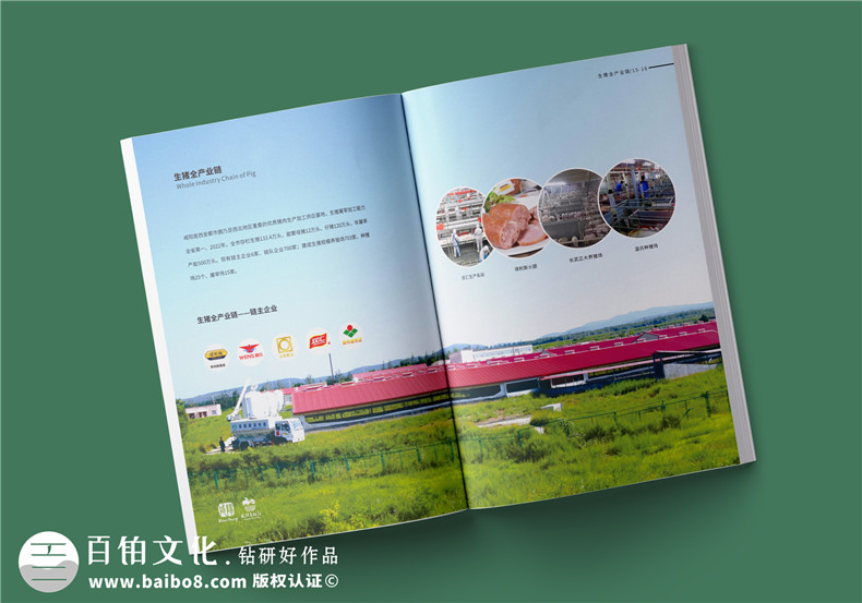 企業(yè)畫(huà)冊(cè)設(shè)計(jì)-成都畫(huà)冊(cè)設(shè)計(jì)展示品牌產(chǎn)品實(shí)力第3張-宣傳畫(huà)冊(cè),紀(jì)念冊(cè)設(shè)計(jì)制作-價(jià)格費(fèi)用,文案模板,印刷裝訂,尺寸大小
