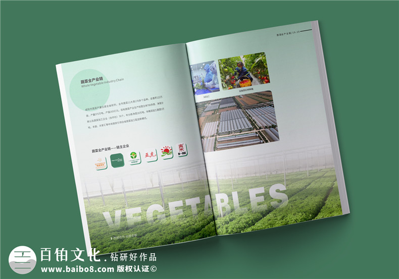 宣傳冊(cè)定制與設(shè)計(jì)-農(nóng)業(yè)宣傳冊(cè)設(shè)計(jì)要滿足什么第3張-宣傳畫冊(cè),紀(jì)念冊(cè)設(shè)計(jì)制作-價(jià)格費(fèi)用,文案模板,印刷裝訂,尺寸大小