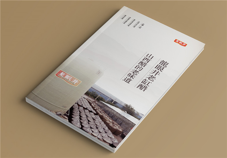 創(chuàng)意招商畫冊設(shè)計-塑造品牌個性助力商業(yè)合作第1張-宣傳畫冊,紀念冊設(shè)計制作-價格費用,文案模板,印刷裝訂,尺寸大小