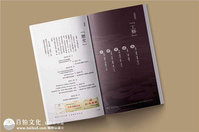 創(chuàng)意招商畫冊設(shè)計-塑造品牌個性助力商業(yè)合作第2張-宣傳畫冊,紀念冊設(shè)計制作-價格費用,文案模板,印刷裝訂,尺寸大小