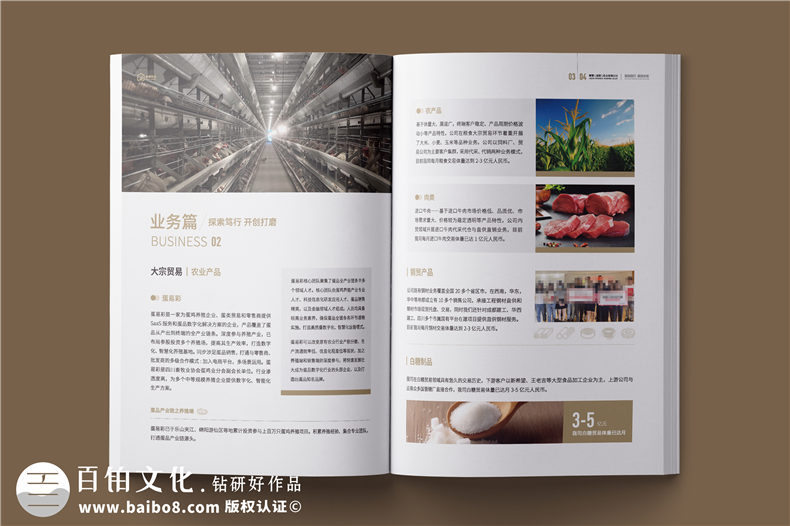 外貿(mào)企業(yè)宣傳冊(cè)-供應(yīng)鏈服務(wù)實(shí)業(yè)公司畫(huà)冊(cè)設(shè)計(jì)
