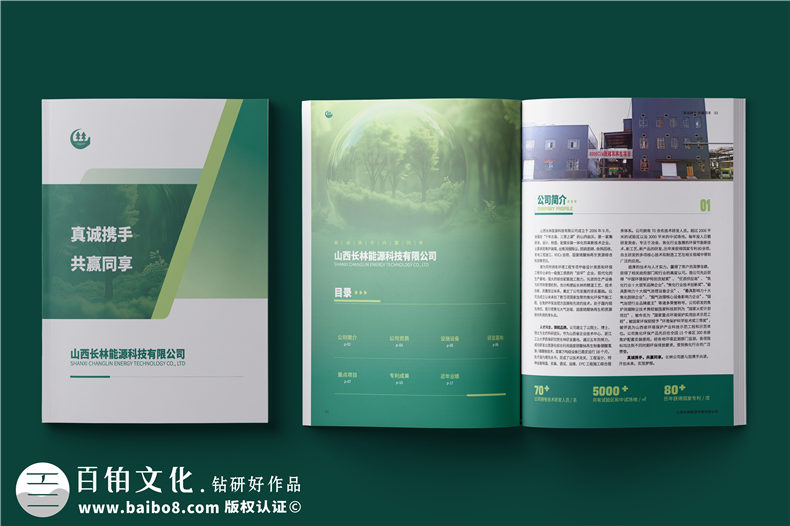 消煙除塵環(huán)境工程公司宣傳冊-脫硫脫硝企業(yè)畫冊