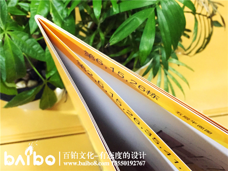 樓書設(shè)計(jì)-樓房平面展示宣傳畫冊(cè)