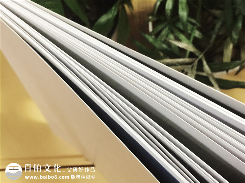 愛戀名品家私沙發(fā)產(chǎn)品宣傳畫冊(cè)設(shè)計(jì)-家具畫冊(cè)制